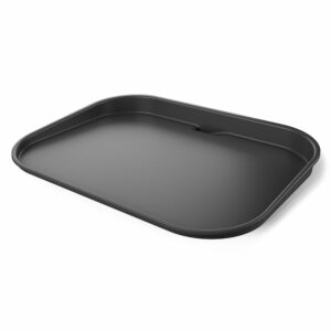 Plancha pour Barbecue électrique et Fumoir Ninja Woodfire pour des grillades parfaites