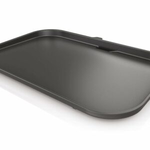 Plancha pour Barbecue électrique et Fumoir Ninja Woodfire XL