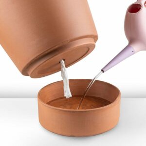 Sachet 3 Mèches d'Irrigation pour un arrosage efficace de vos plantes