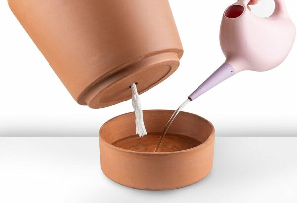 Sachet 3 Mèches d'Irrigation pour un arrosage efficace de vos plantes