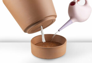11570972-naoy3iuyhn-ewhr-300x205 Installer un système d’arrosage goutte à goutte sans se ruiner