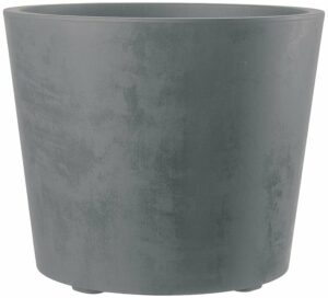 11864761-tyyk8gy7gl-ewhr-1-300x272 Associer les plantes au potager : les bonnes combinaisons à connaître