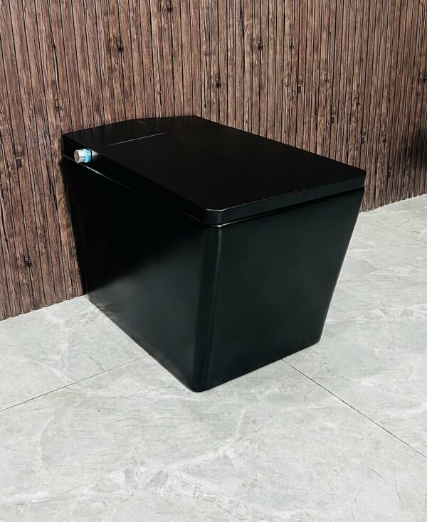 Toilette japonaise Shinobi design moderne et fonctionnalités avancées