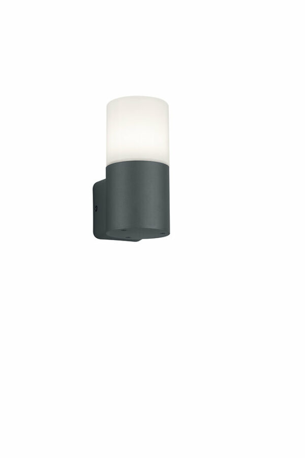 Applique murale extérieur Arawan 1xE27 - Gris Anthracite