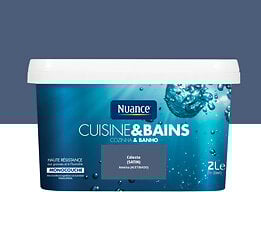 Peinture Cuisine et Bains Celeste Satin 2L – Résistante à l'Humidité & Facile à Appliquer