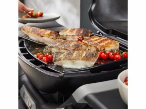 Plancha (complète) pour barbecue Q1100N et Q 1200N – Weber