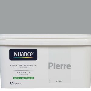 Peinture bicouche - Pierre - Satin - 2,5L