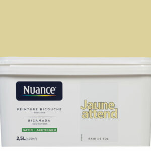 Peinture bicouche - Jaune attend - Satin - 2,5L