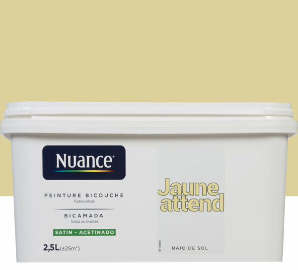Peinture bicouche - Jaune attend - Satin - 2,5L