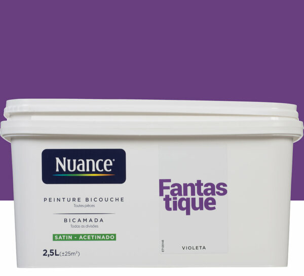 Peinture bicouche - Fantastique - Satin - 2,5L
