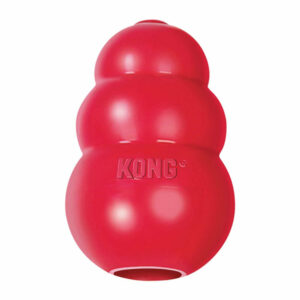 Jouet pour chien KONG taille small 8cm