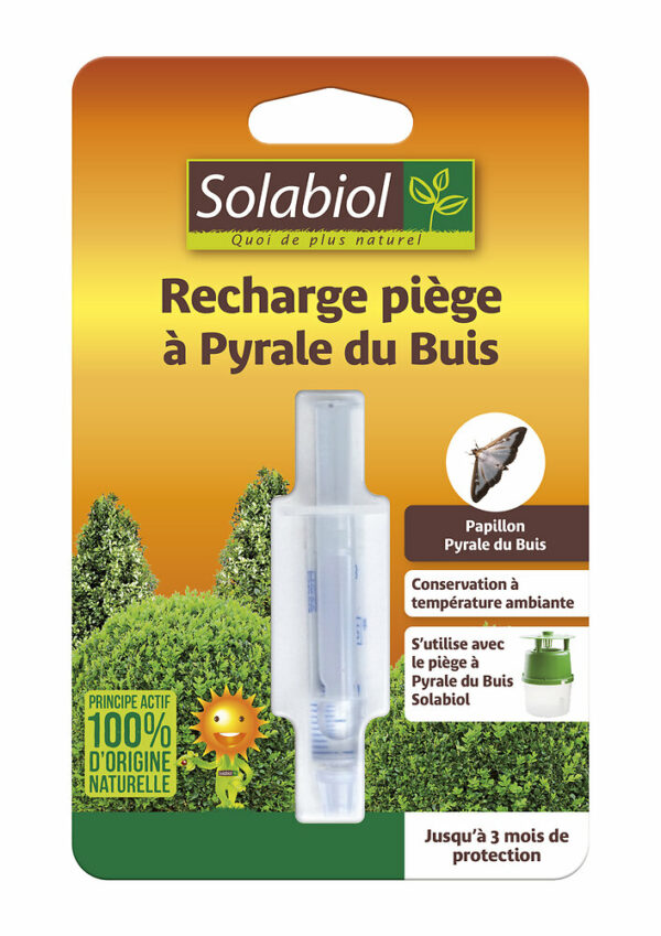 Recharge piège à pyrale du buis pour une surveillance efficace