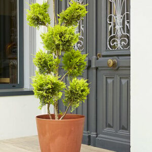 Pot Material 30 corten - diamètre 30.4cm hauteur 32.8cm - 15L pour une décoration naturelle