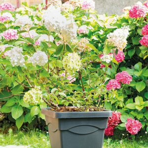 Pot de fleur Quadro Day R Anthracite 45cm