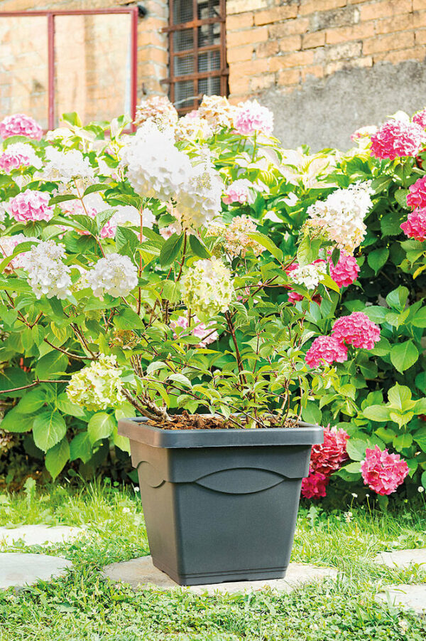 Pot de fleur Quadro Day R Anthracite 45cm