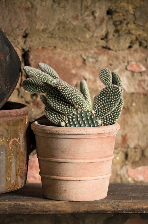 Vaso Mini Siena Toscana 11cm