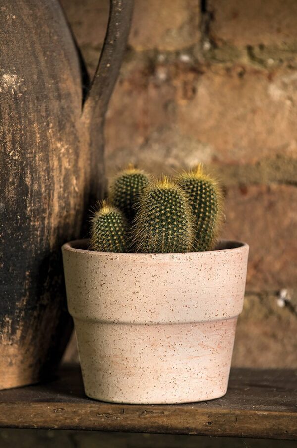 Vaso Liscio Mini Siena Toscana 11cm