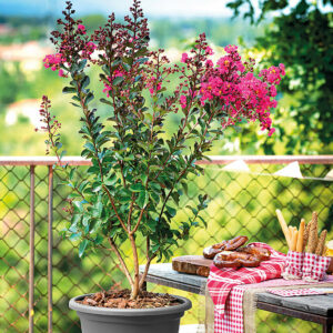 Pot de fleurs Cilindro Day R Anthracite 25cm