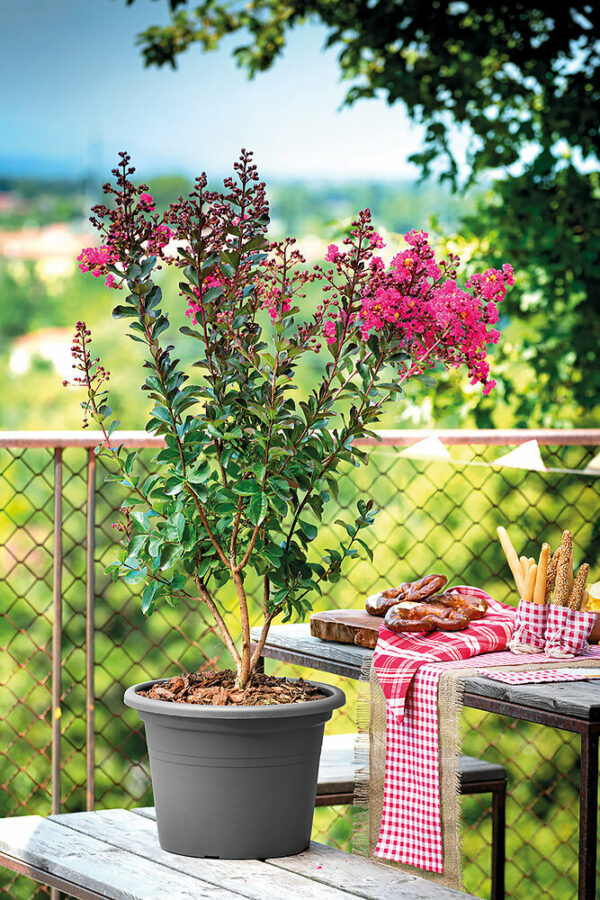 Pot de fleurs Cilindro Day R Anthracite 25cm