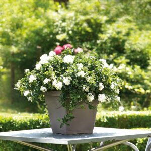 Pot de fleur Quadro Day R Camel 38cm