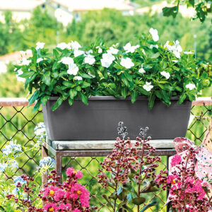 Jardinière Day R Anthracite 50cm