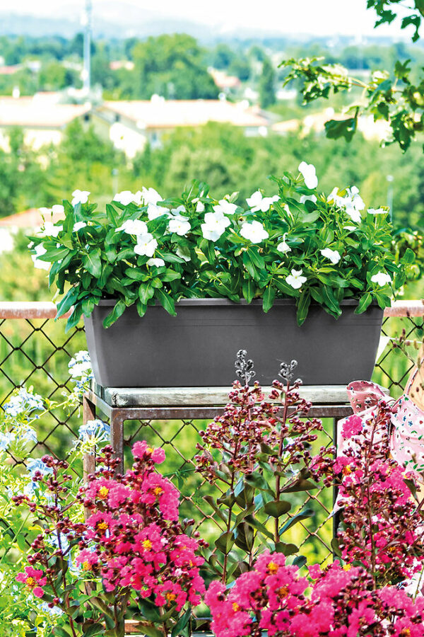 Jardinière Day R Anthracite 50cm