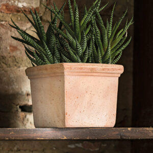 Pot de fleurs en terre cuite Quadro Mini Siena Toscana 11cm