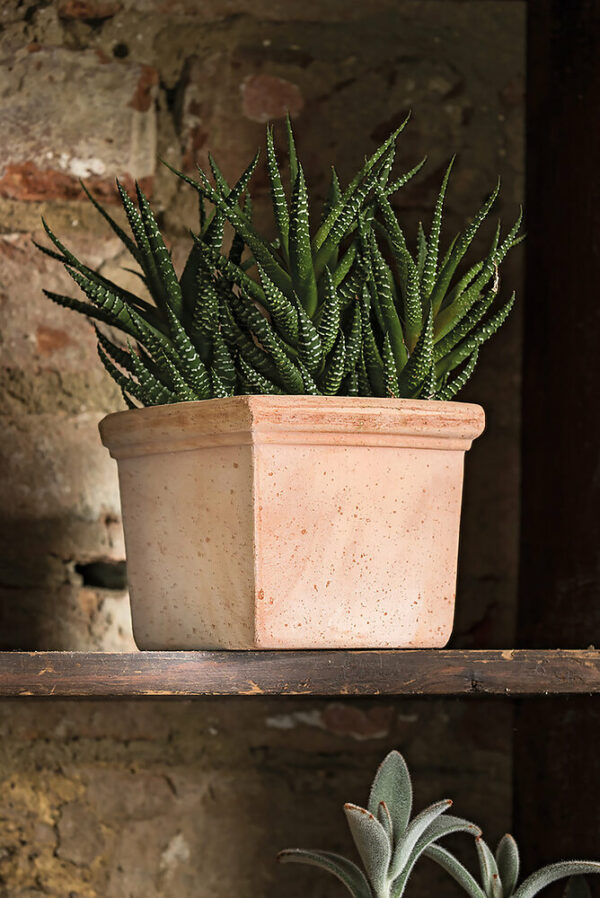 Pot de fleurs en terre cuite Quadro Mini Siena Toscana 11cm