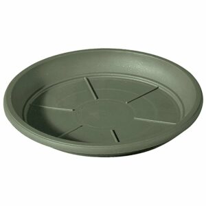 Soucoupe Day R Verde 30cm - Soucoupe de jardin en Recyclat injecté