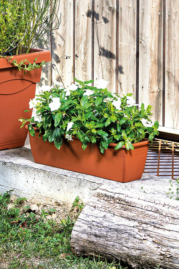 Jardinière Day R Cotto 50cm