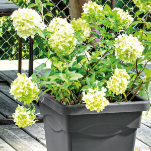 Pot de fleur Quadro Day R Anthracite 38cm pour jardin