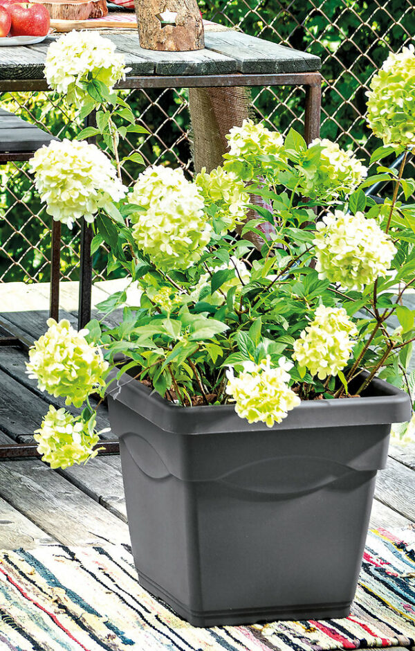 Pot de fleur Quadro Day R Anthracite 38cm pour jardin