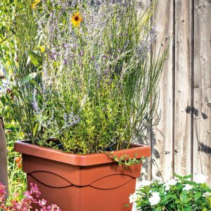 Pot de fleur Quadro Day R Cotto 38,5cm