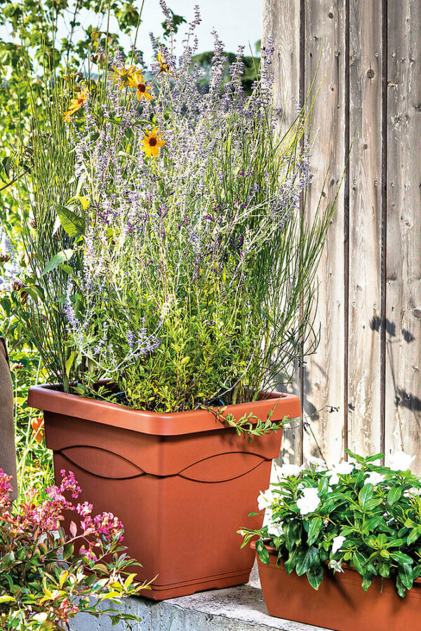Pot de fleur Quadro Day R Cotto 38,5cm