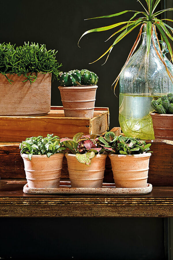 Kit Trio Vaso Mini Siena Toscana 35cm pour Jardinage