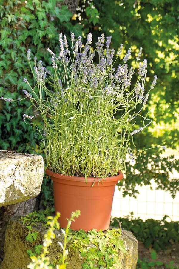 Cilindro Day R Cotto 40cm - Pot de fleur en Recyclat injecté