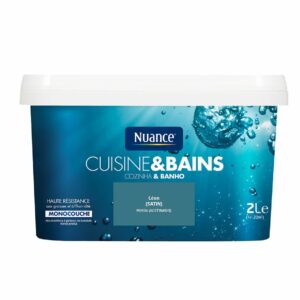 Peinture Satinée Cuisine et Bains - Leon - 2L – Protectrice et Facile à Appliquer