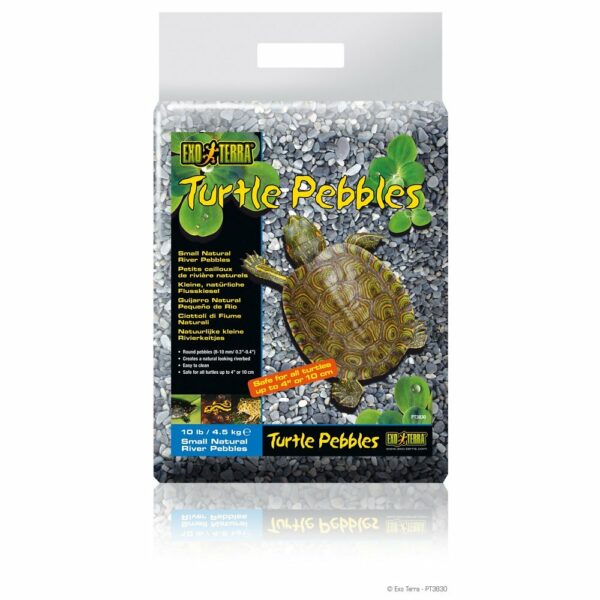 Sublimez l'aquarium de votre tortue avec Exo Terra gravier tortue 4.5KG