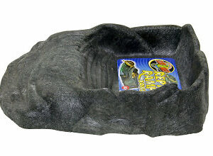 Abreuvoir reptiramp l rrb11 pour tortues et amphibiens