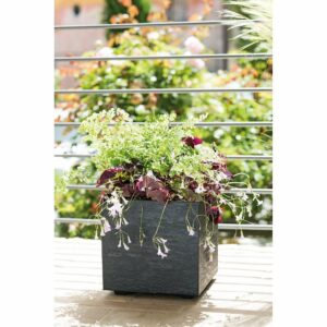 Cubo Gravity Carbone à réserve d'eau 25cm - Pot de fleur design pour jardin moderne
