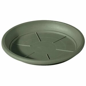 Soucoupe Day R Verde 18cm