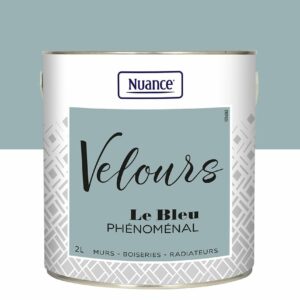 Peinture Velours Bleu Phénoménal - Multi-support 2L pour Décoration Moderne et Durable