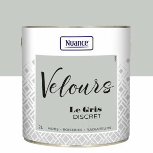 Peinture Velours Gris Discret - Multi-support 2L – Finition Moderne et Élegante