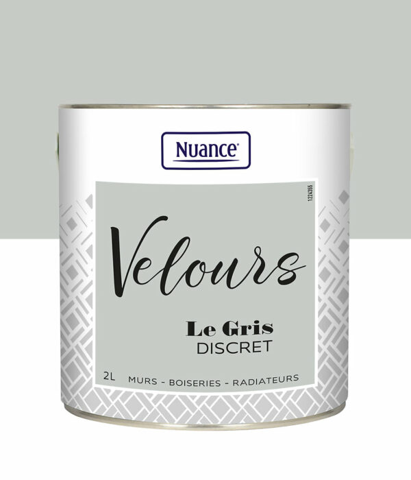 Peinture Velours Gris Discret - Multi-support 2L – Finition Moderne et Élegante