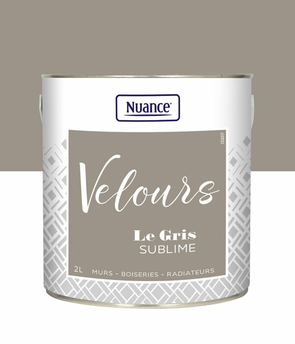 Peinture Velours Gris Sublime 2L – Multi-support, Finition Moderne et Durable