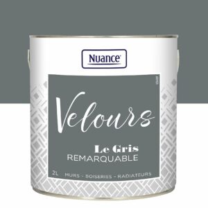 Peinture Velours Gris Remarquable - Multi-support 2L - Nuance