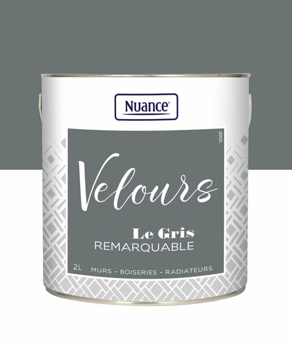 Peinture Velours Gris Remarquable - Multi-support 2L - Nuance