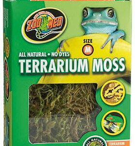 Mousse terrarium petit modele cf2s