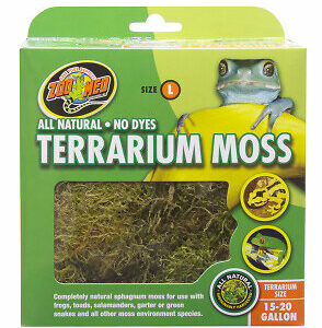 Mousse terrarium grand modèle