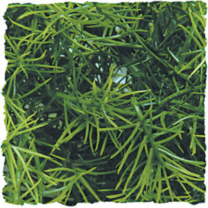 Plante artificielle cashuarina moyen modèle pour terrarium